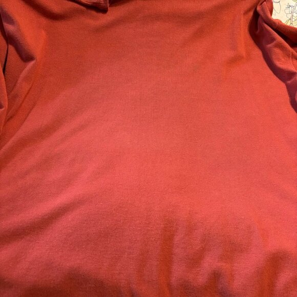 Beautiful Terracotta Color Top (Rayon/Nylon) with Long Sleeves - 3x - Picture 10 of 11